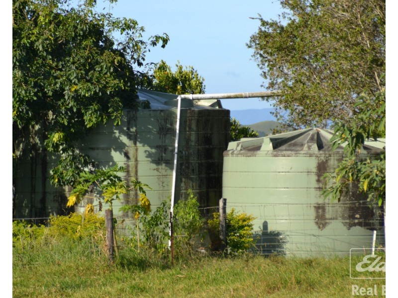 Millaa Millaa QLD 4886
