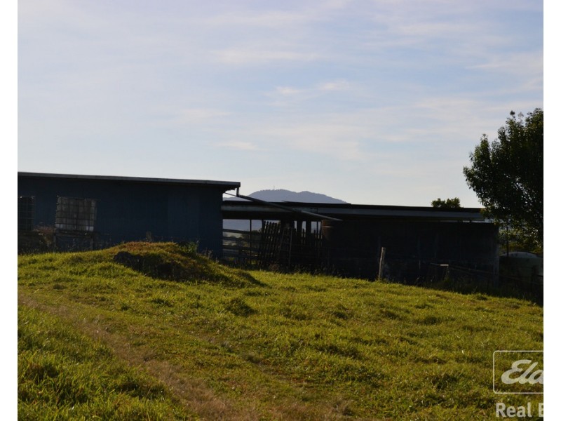 Millaa Millaa QLD 4886