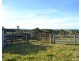 Millaa Millaa QLD 4886