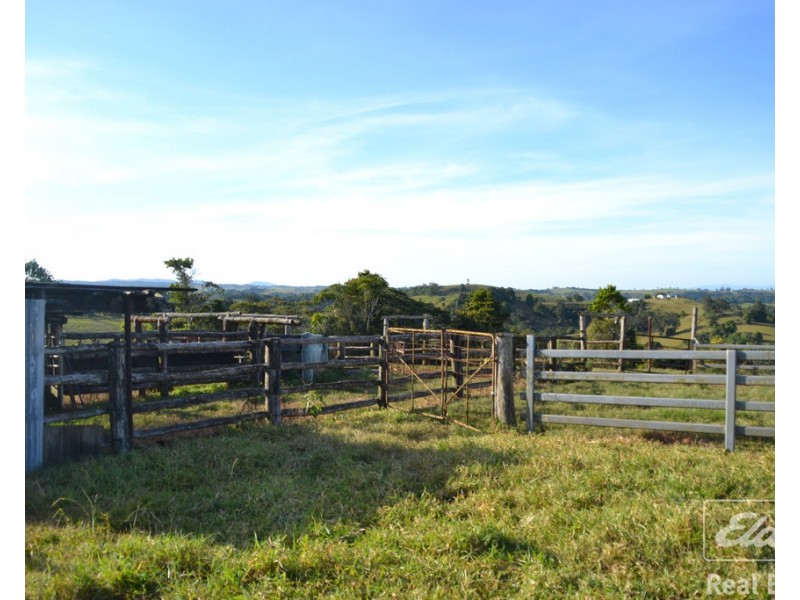Millaa Millaa QLD 4886