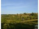 Millaa Millaa QLD 4886