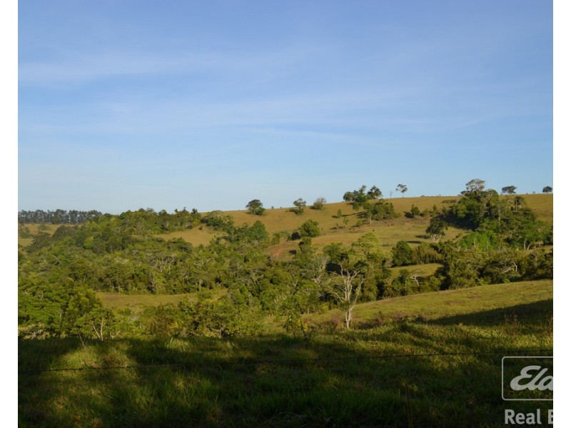 Millaa Millaa QLD 4886