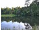 Millaa Millaa QLD 4886