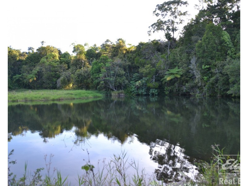 Millaa Millaa QLD 4886