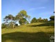 Millaa Millaa QLD 4886