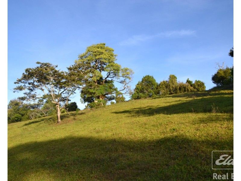 Millaa Millaa QLD 4886