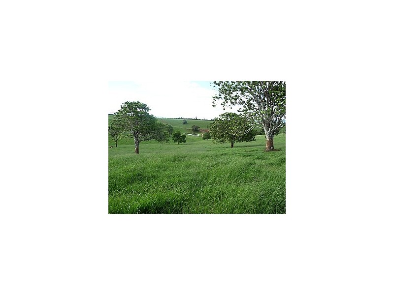 Malanda QLD 4885