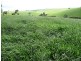 Malanda QLD 4885