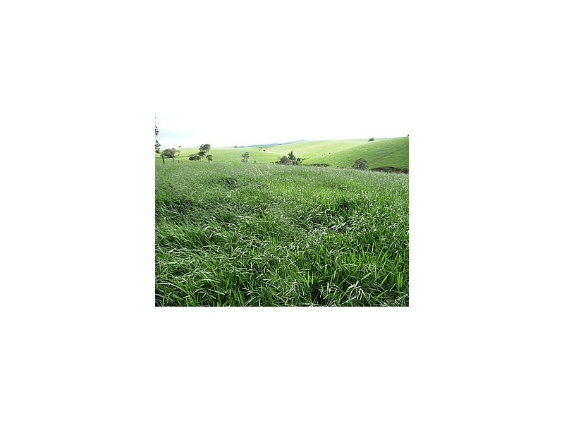 Malanda QLD 4885