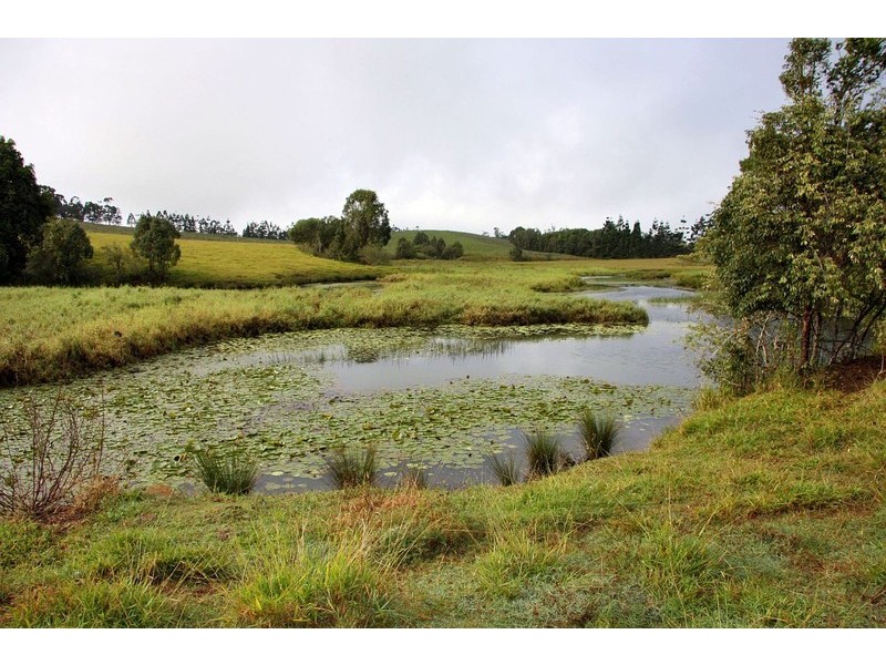Malanda QLD 4885