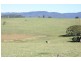Malanda QLD 4885
