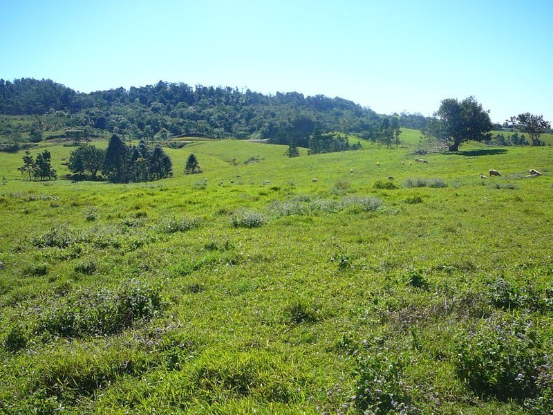 Millaa Millaa QLD 4886