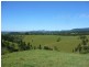 Millaa Millaa QLD 4886