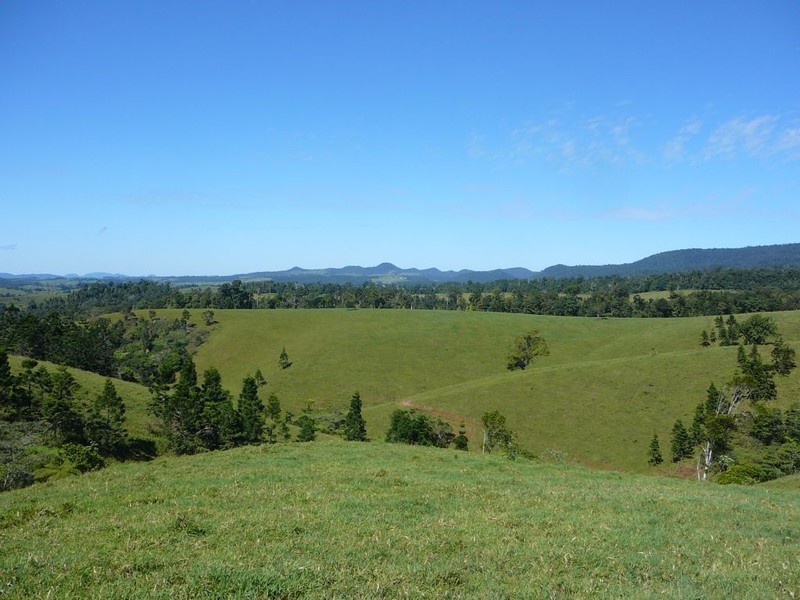 Millaa Millaa QLD 4886