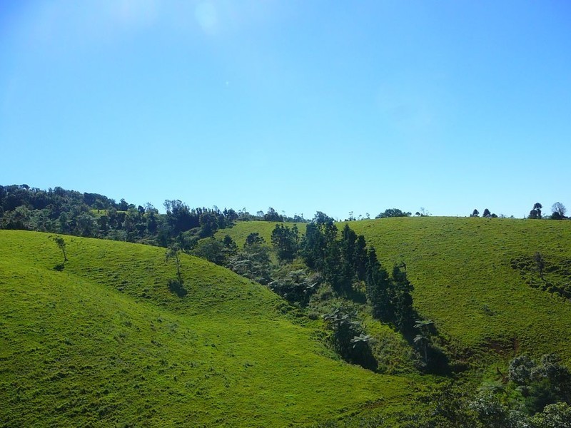 Millaa Millaa QLD 4886