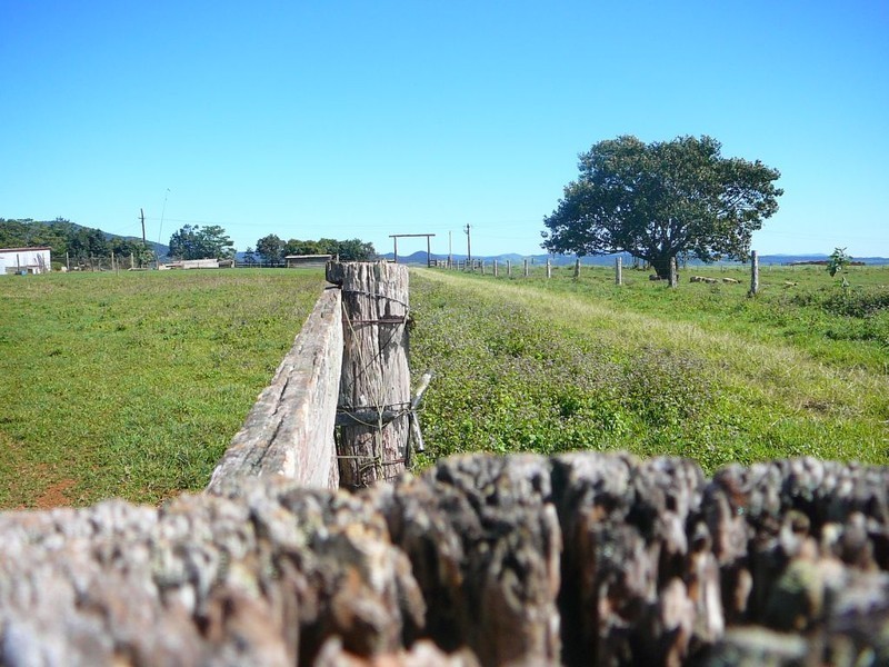 Millaa Millaa QLD 4886