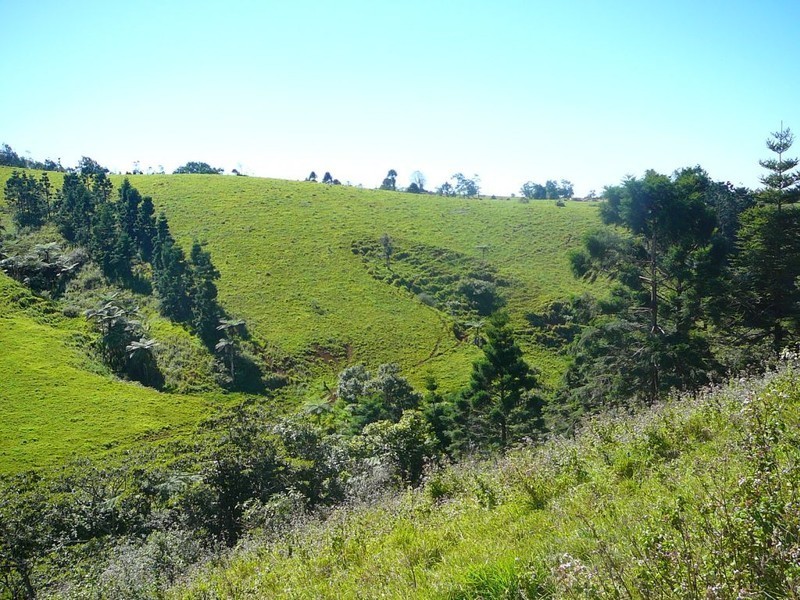 Millaa Millaa QLD 4886