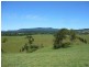 Millaa Millaa QLD 4886