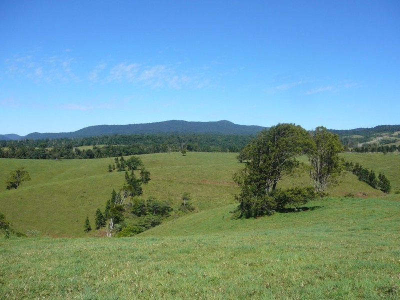 Millaa Millaa QLD 4886