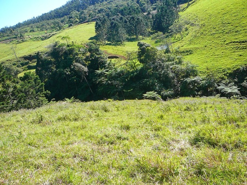 Millaa Millaa QLD 4886