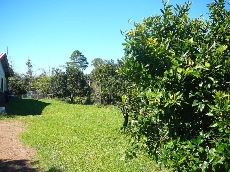 Millaa Millaa QLD 4886