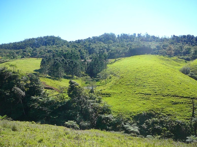 Millaa Millaa QLD 4886