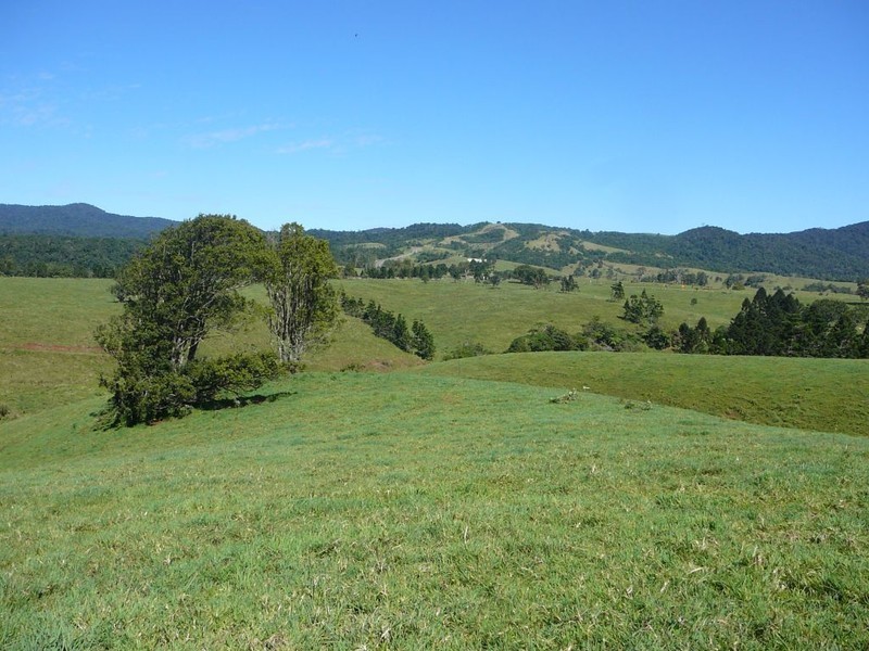 Millaa Millaa QLD 4886