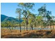 630 Bakers Rd, Mount Molloy QLD 4871