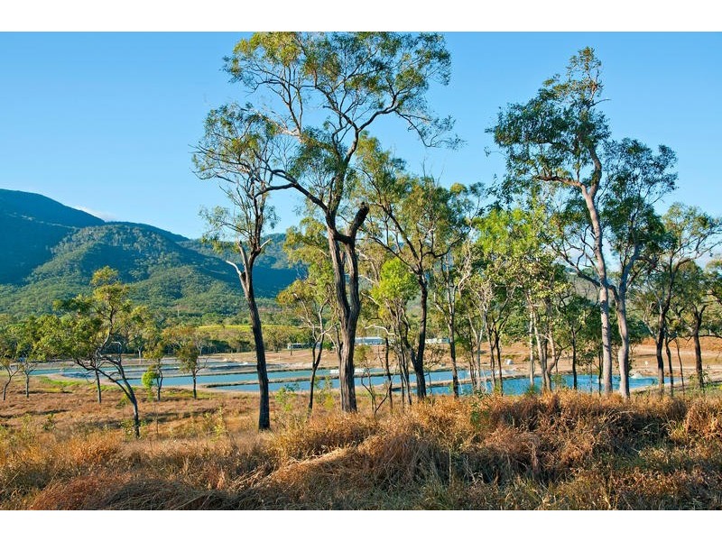 630 Bakers Rd, Mount Molloy QLD 4871