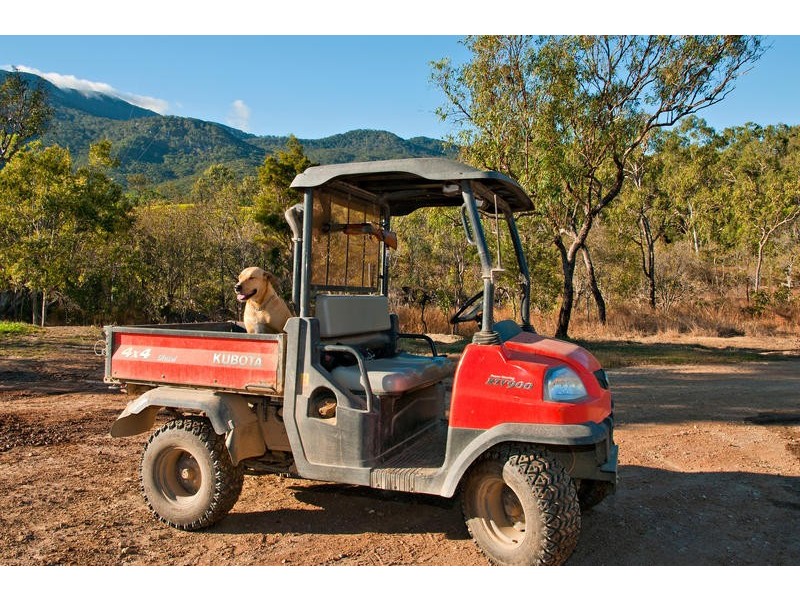 630 Bakers Rd, Mount Molloy QLD 4871