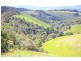 Malanda QLD 4885