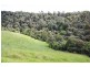 Malanda QLD 4885