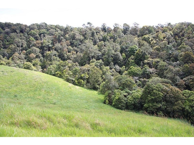 Malanda QLD 4885