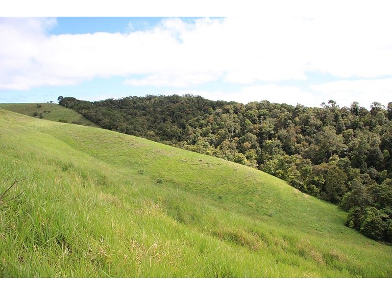 Malanda QLD 4885