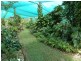 1828 Daintree Rd, Wonga QLD 4873