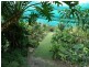 1828 Daintree Rd, Wonga QLD 4873