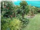 1828 Daintree Rd, Wonga QLD 4873