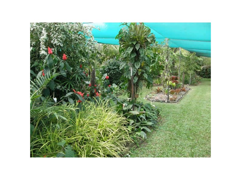 1828 Daintree Rd, Wonga QLD 4873