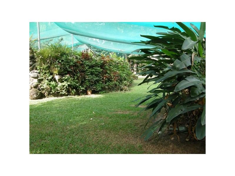 1828 Daintree Rd, Wonga QLD 4873