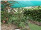 1828 Daintree Rd, Wonga QLD 4873