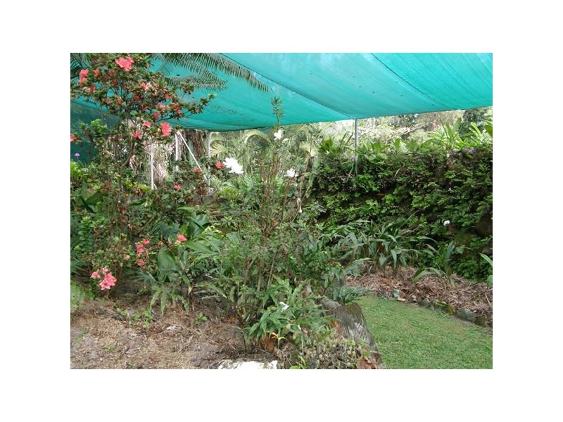 1828 Daintree Rd, Wonga QLD 4873