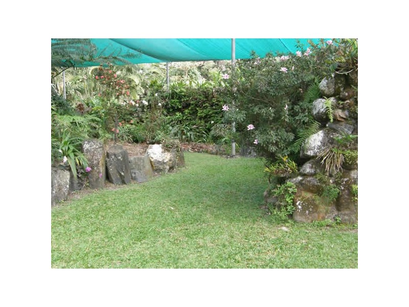1828 Daintree Rd, Wonga QLD 4873