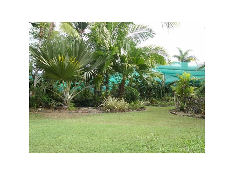 1828 Daintree Rd, Wonga QLD 4873