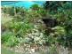 1828 Daintree Rd, Wonga QLD 4873