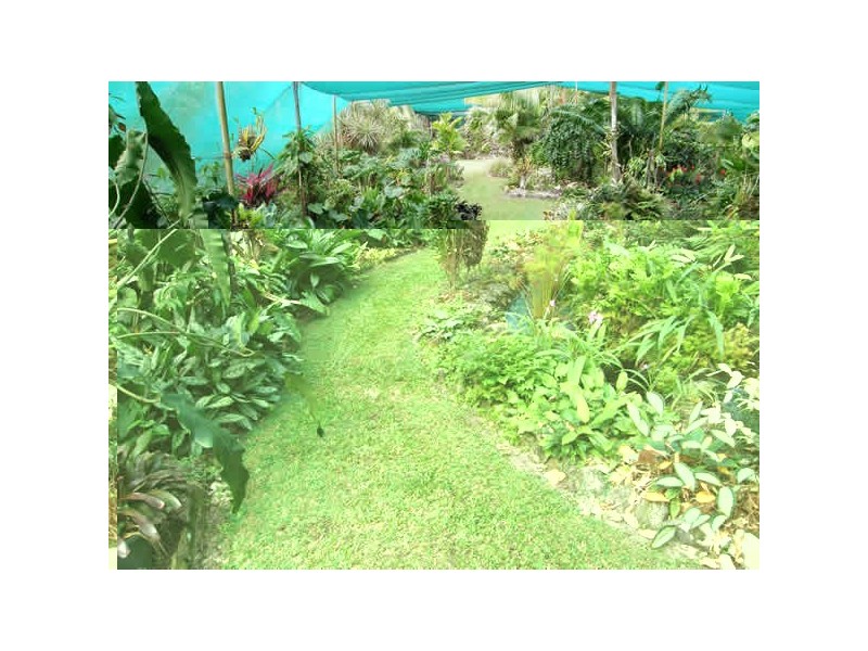 1828 Daintree Rd, Wonga QLD 4873