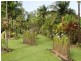 1828 Daintree Rd, Wonga QLD 4873