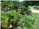 1828 Daintree Rd, Wonga QLD 4873
