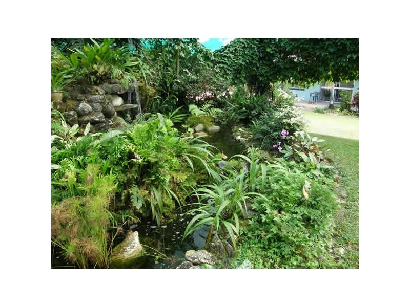 1828 Daintree Rd, Wonga QLD 4873