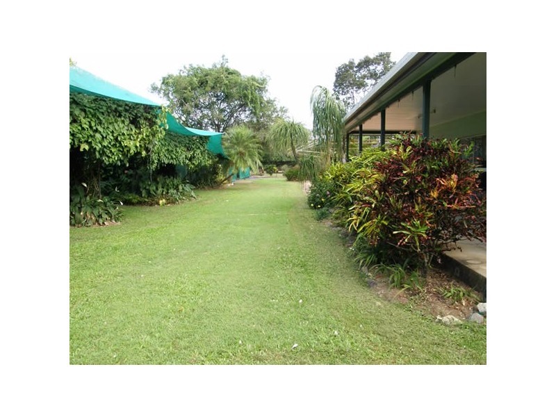 1828 Daintree Rd, Wonga QLD 4873