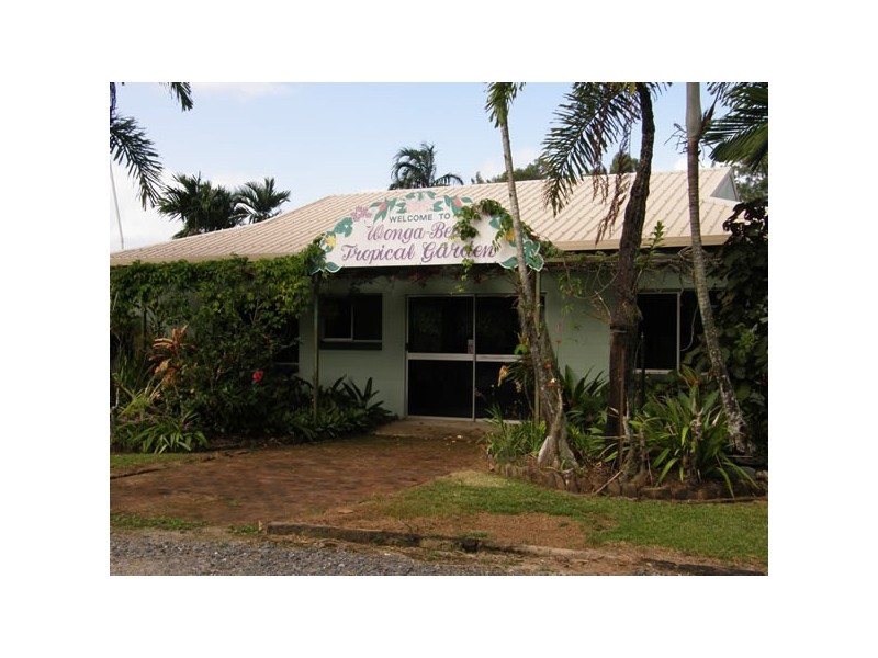 1828 Daintree Rd, Wonga QLD 4873